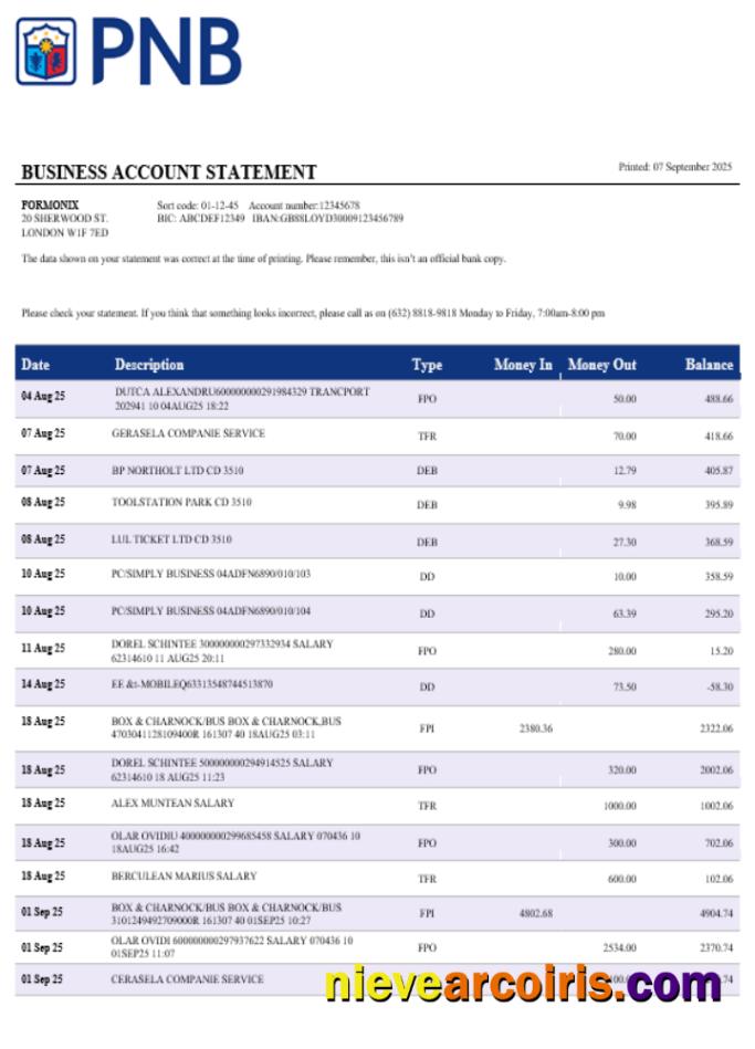 PNB bank business account statement